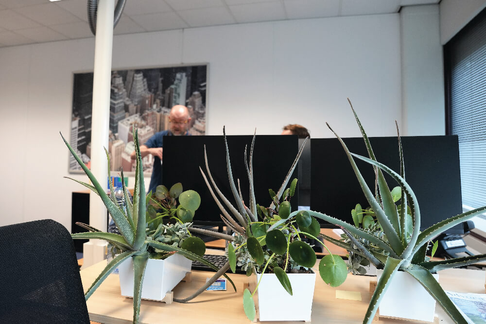 Foto van planten met op de achtergrond Gijs die in gesprek is met een collega. 